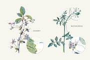 Vintage Flower Illustrations Bundle, an Illustration by Greta Ivy (Thumbnail 33 of 62)