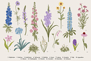 Garden flowers. Colorful, an Illustration by olga.korneeva (Thumbnail 4 of 5)