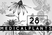 Set of medical plants., an Object Graphic by MarinaVorontsova (Thumbnail 1 of 4)