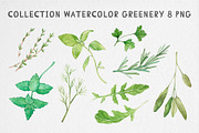 Watercolor Garden Herb Set, a Food Illustration by MilanaDesignShop (Thumbnail 2 of 3)
