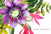 Tropical collection. Summer design., a Decorative Illustration by Lisima (Thumbnail 19 of 19)