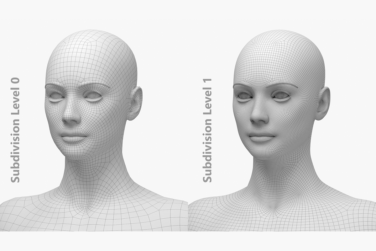 Natural Female 01 A-Pose Base Mesh, a Characters & Person 3D Model by VK Studio (Photo 21 of 26)
