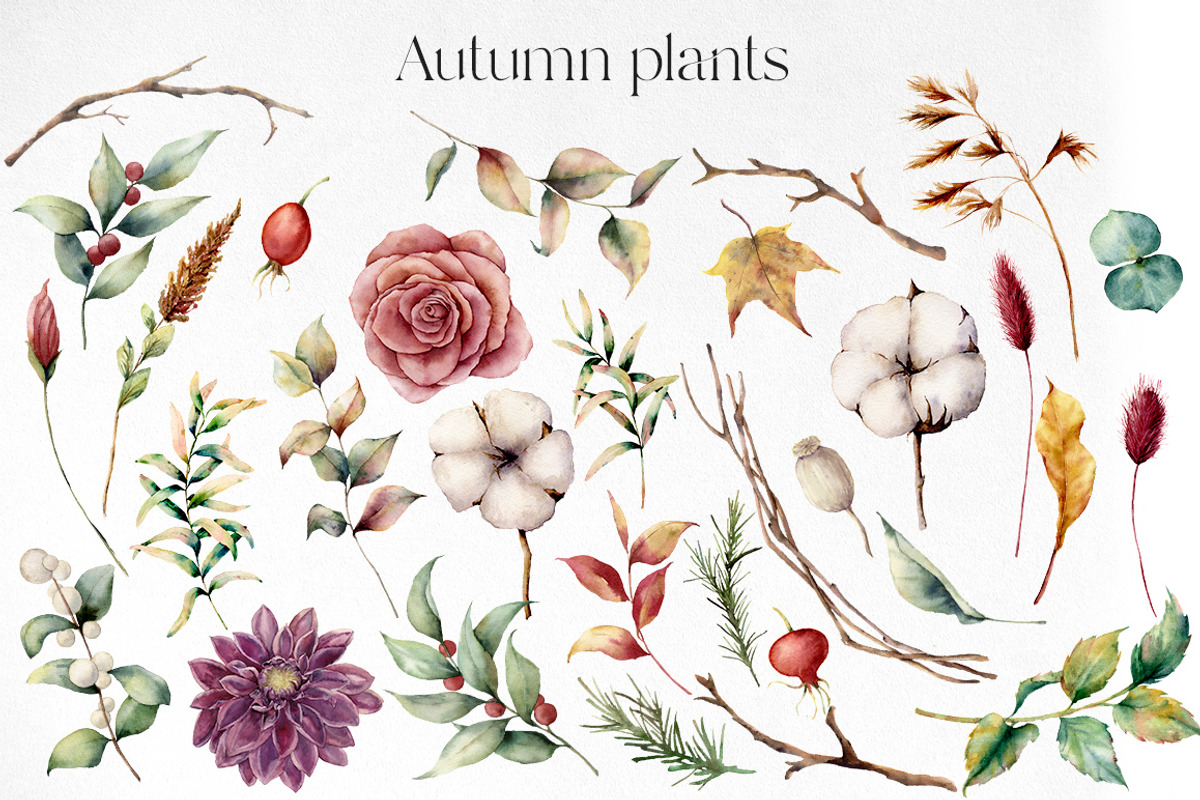 Fall Watercolor autumn flowers, a Seasonal Illustration by Yuliya Derbisheva (Photo 3 of 9)