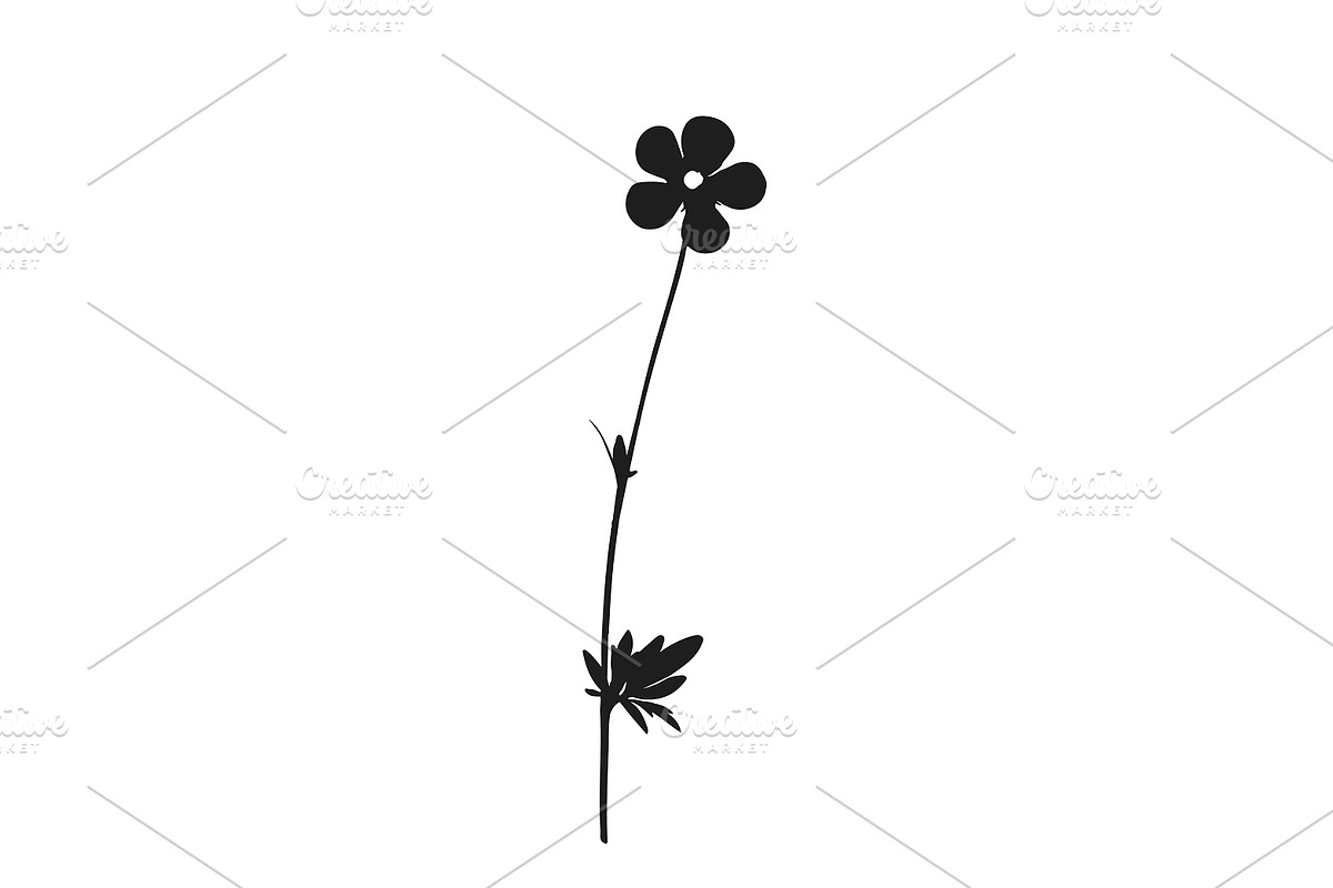 Botanical bundle - svg, png, a Decorative Illustration by Watercolor_Vector Graphic (Photo 9 of 26)
