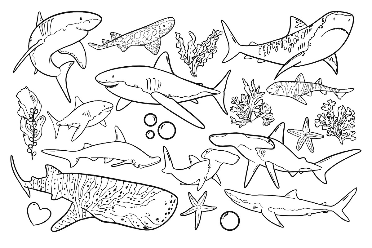 Shark Line Art PNG SVG, an Animal Illustration by ArtGiftsStudio (Photo 3 of 5)