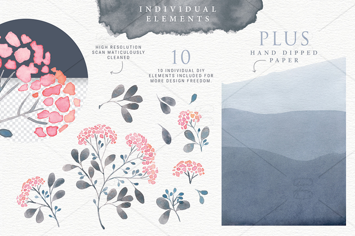 Serenity Floral Watercolour Kit, an Illustration by Lisa Glanz (Photo 5 of 6)