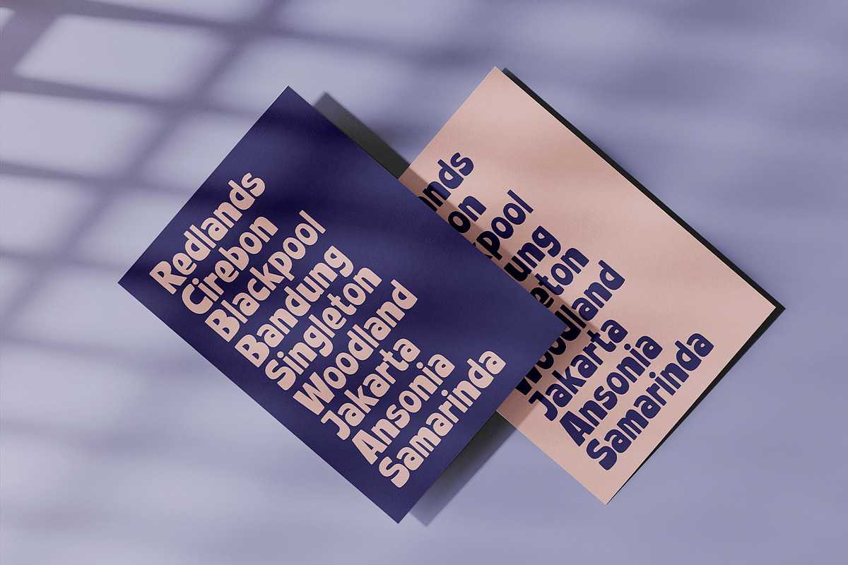 Canvas - Display Font, a Script Font by Alpaprana (Photo 6 of 12)