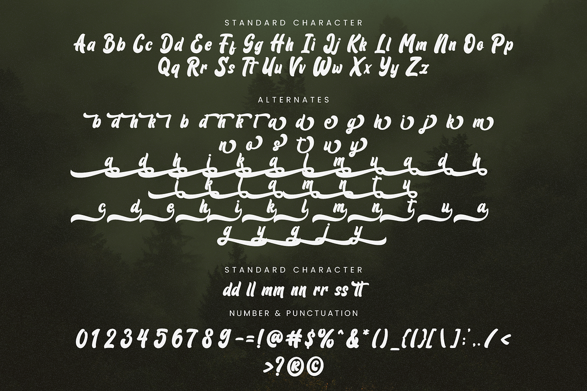 Bruschetta - Retro Script Font, a Handwritten Font by Mozatype (Photo 4 of 10)