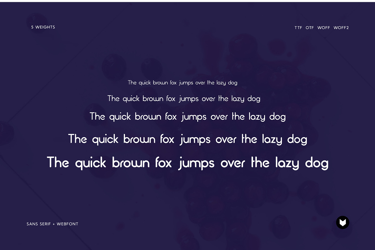 Cranberry Display Typeface, a Font by Foxtype (Photo 4 of 8)