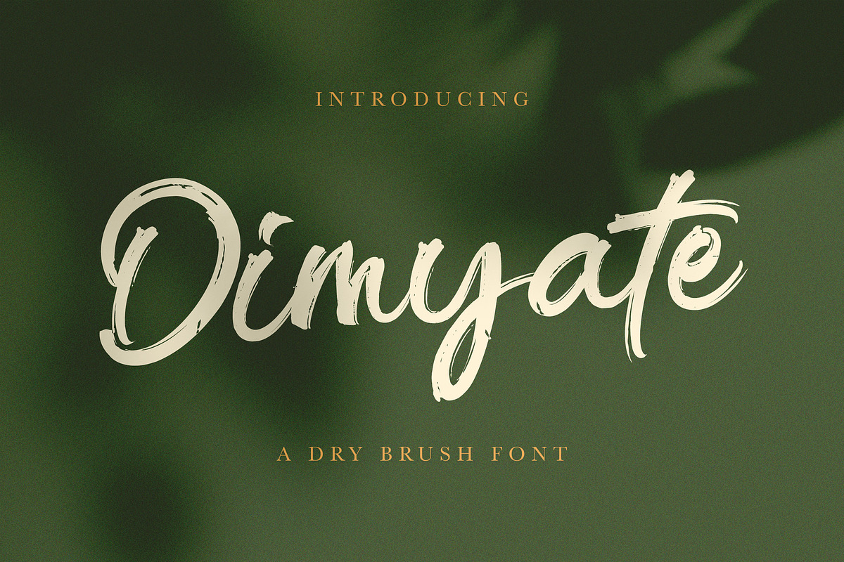 Dimyate - Dry Brush Script Font, a Script Font by Imiftype Studio (Photo 9 of 9)