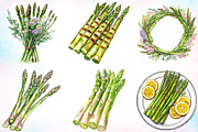 Watercolor Asparagus Clipart Bundle, a Food Illustration by Canvas Craft (Thumbnail 2 of 3)
