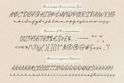 Flawlush - Elegant Script, a Script Font by Invasi Studio (Thumbnail 11 of 12)