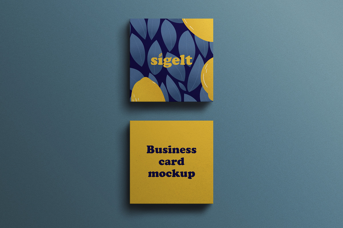 Square Blue Business Card Mockup, an Advertising Mockup by Sigelt (Photo 8 of 9)
