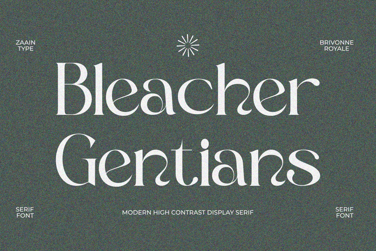 Brivonne Royale, a Serif Font by zaaintype (Photo 6 of 12)