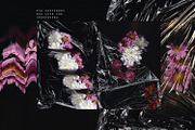 Noir Botanica Scanographs, a Texture Graphic by House of Delfina (Thumbnail 6 of 11)