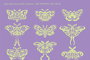 Moonlit Moths - Set and Patterns, a Pattern Graphic by PenguinHouse (Thumbnail 13 of 14)