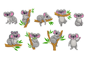 Cartoon cute koala bears, an Animal Illustration by Vector Tradition