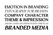 Mizhon Serif | 12 Font, a Serif Font by Skinny Type (Thumbnail 7 of 8)