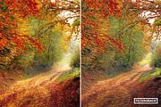 Modern Paint Photoshop Actions, an Action Add-On by FilterGrade (Thumbnail 5 of 11)