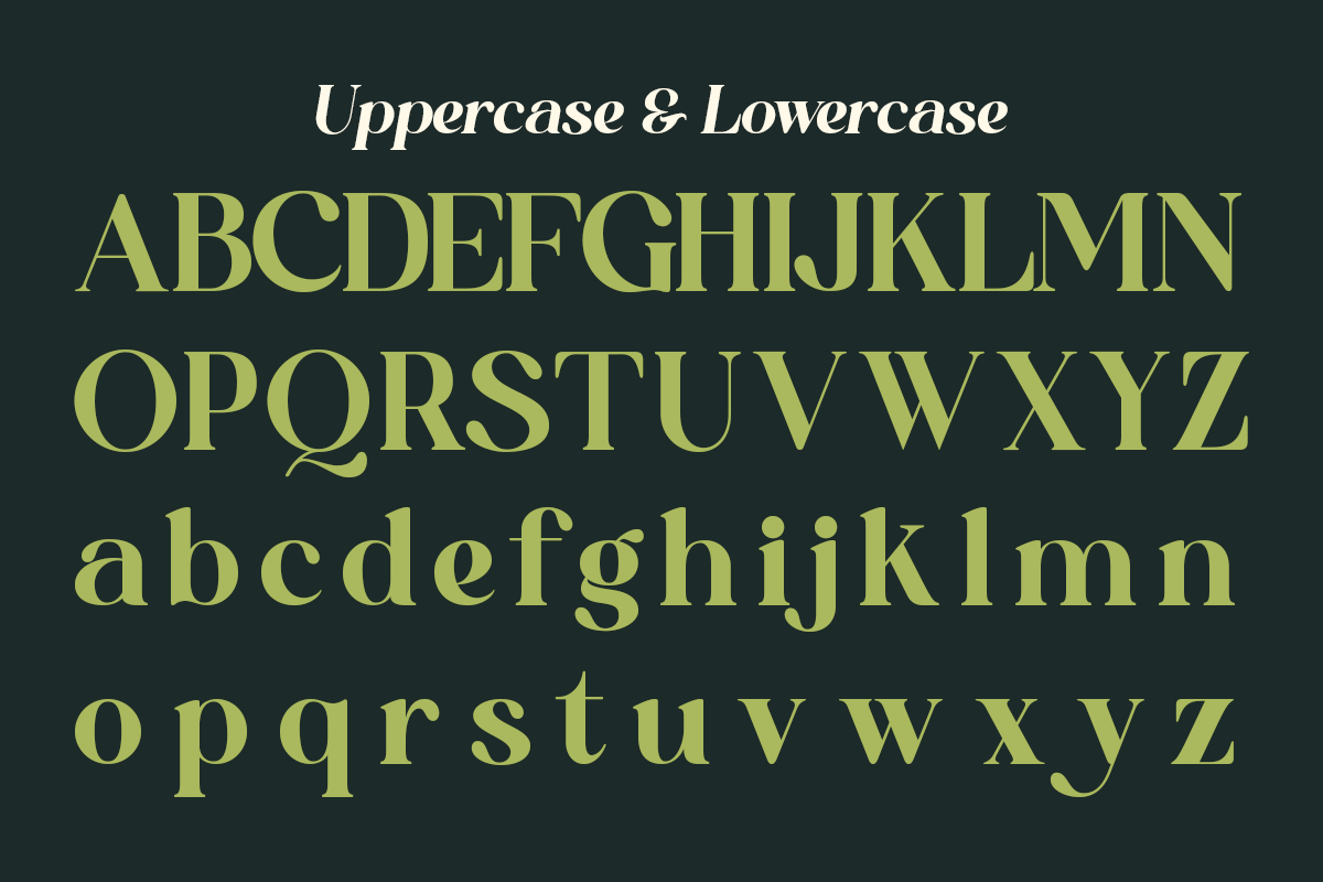 Qoncila - Modern Retro Swash Serif, a Serif Font by Qweera Studio (Photo 11 of 12)