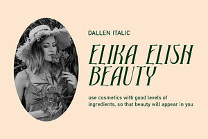 Dallen Serif Font