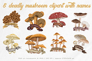 Poisonous mushrooms clipart, an Education Illustration by Yelloo Fish (Thumbnail 3 of 10)