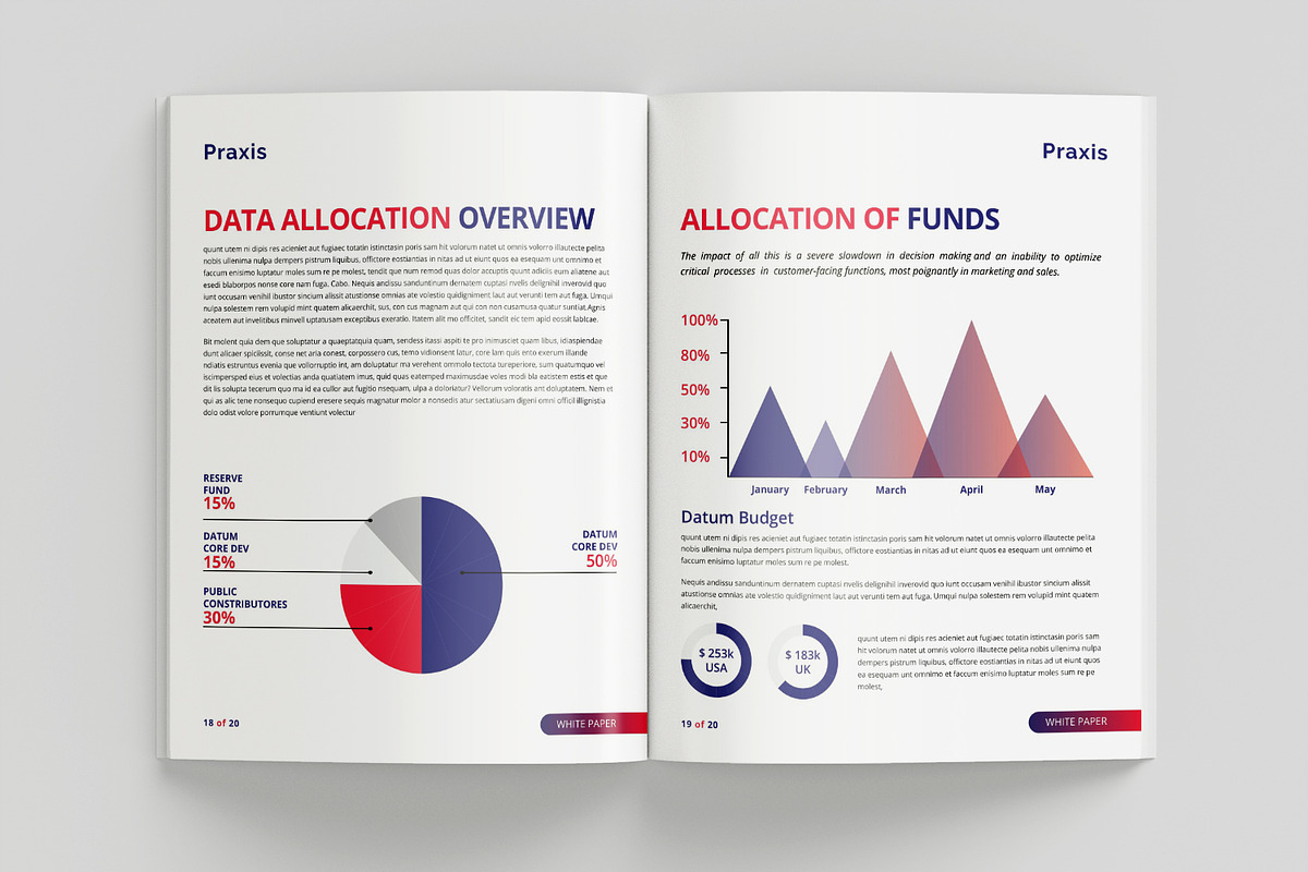 White Paper Template, a Brochure Template by azadcsstune (Photo 9 of 12)