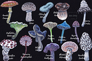 Watercolor and gouache Mushrooms, an Illustration by MariaOrtegaDigitals (Thumbnail 3 of 6)