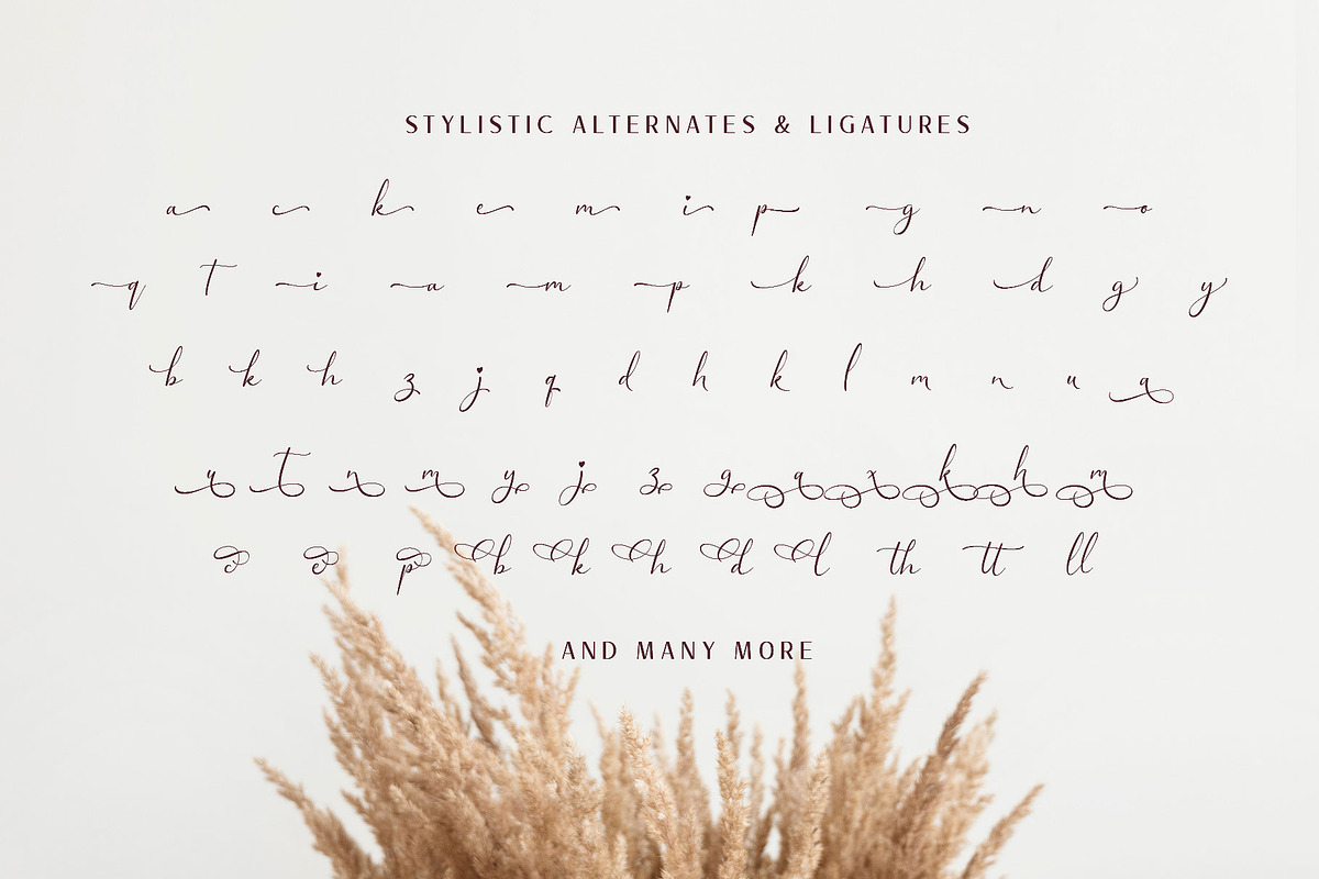 Kalidony - Lovely Font, a Script Font by Arterfak Project (Photo 12 of 14)