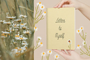 Matricaria Chamomilla Script, a Script Font by Jelena Sardi (Thumbnail 5 of 6)