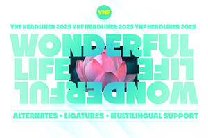 YNF Headliner | Wonderful sans serif