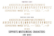 New Pamithais Script, a Script Font by Barland Design (Thumbnail 9 of 10)
