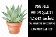 Watercolor Succulent Cactus Clipart, an Illustration by Designking (Thumbnail 4 of 5)