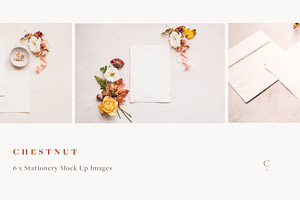 Stationery Mock Ups - Chestnut