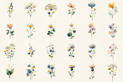 Watercolor Delicate Wildflower Clipa, an Illustration by DreamCafeArt (Thumbnail 2 of 7)