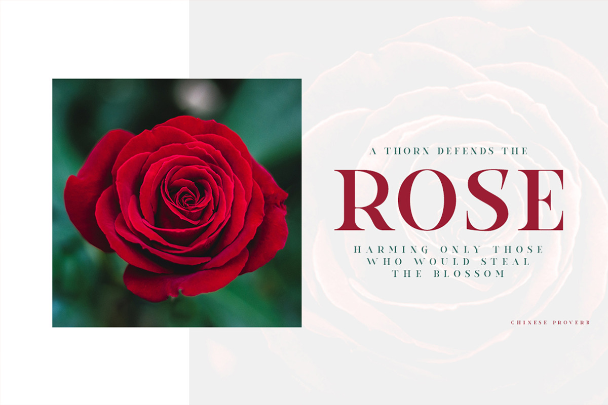 Rockyeah Serif - Classic Serif, a Serif Font by dexsarharryfonts (Photo 2 of 7)