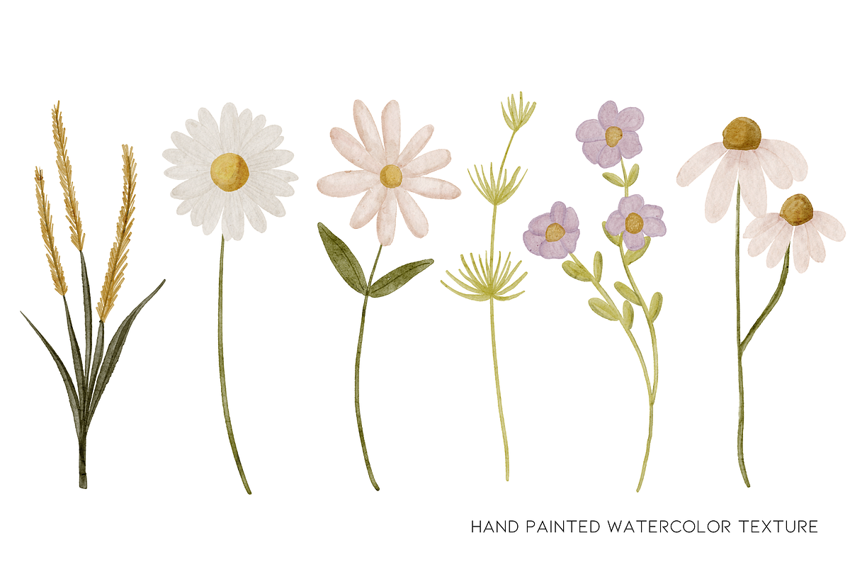 Watercolor Wild Flower Clipart, a Decorative Illustration by Murphy & Frank (Photo 3 of 9)