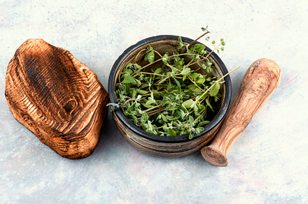 Raw sprig of marjoram, a Health & Medical Photo by MLunov MLunov