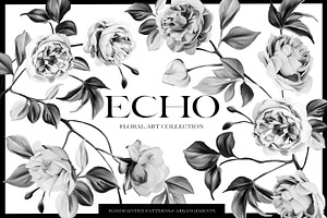 Echo Modern Botanicals Collection