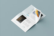 Portfolio, a Brochure Template by Pro-Gh (Thumbnail 5 of 14)