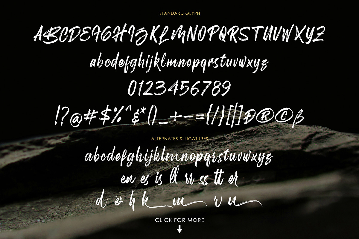 Birdrockers || Realistic Brush Font preview 3