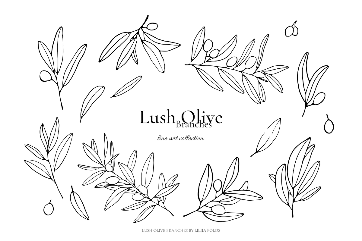 Olives – Watercolor & Line Art, a Decorative Illustration by Liliia Polos Illustration (Photo 6 of 12)