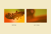 SYMPHONY Gradient Textures, a Texture Graphic by Desert Poetic (Thumbnail 8 of 10)