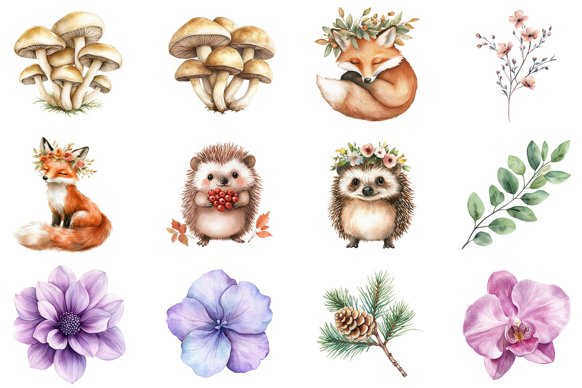 Boho Woodland Baby Floral Animals, an Illustration by CitraGraphics (Photo 3 of 5)