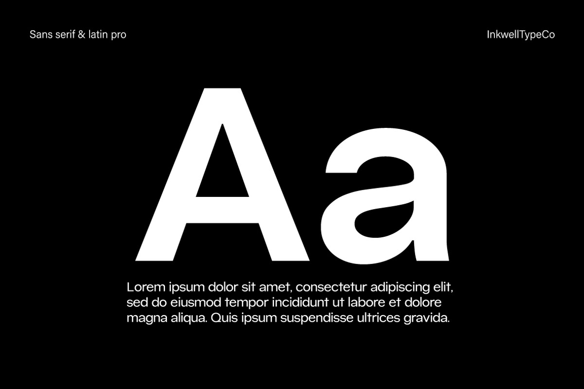 Caliburn Grotesk | Modern Variable, a Sans Serif Font by InkwellTypeCo (Photo 5 of 15)