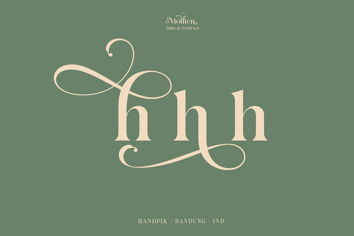 Maonest Serif Font, a Serif Font by Luna Shop (Photo 3 of 11)