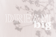 Apple Hill Duo, a Serif Font by Sofia Skoog (Thumbnail 3 of 12)