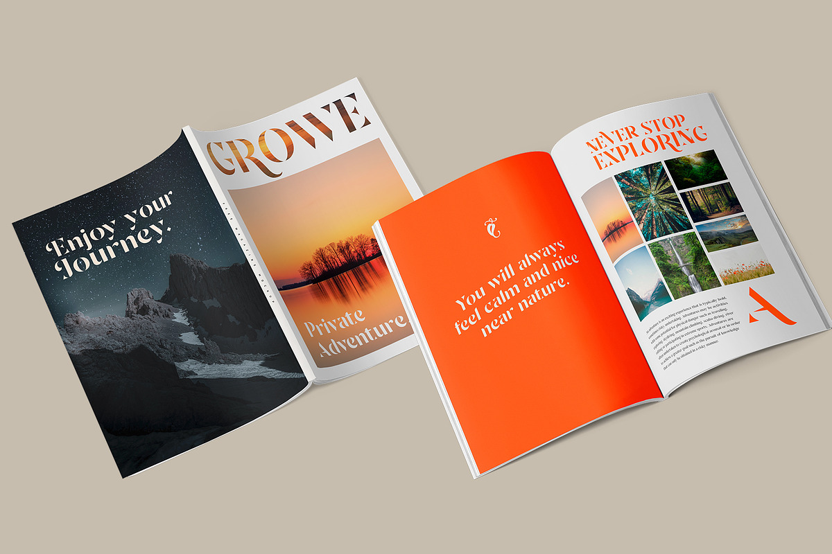 Sandega, a Sans Serif Font by Locomotype (Photo 10 of 11)