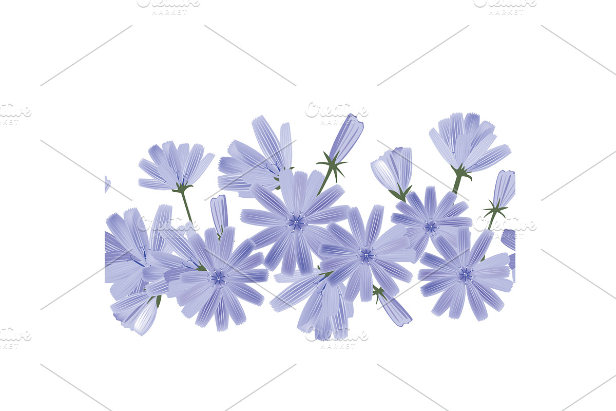 Floral horizontal border with blue, an Object Illustration by Toltemara