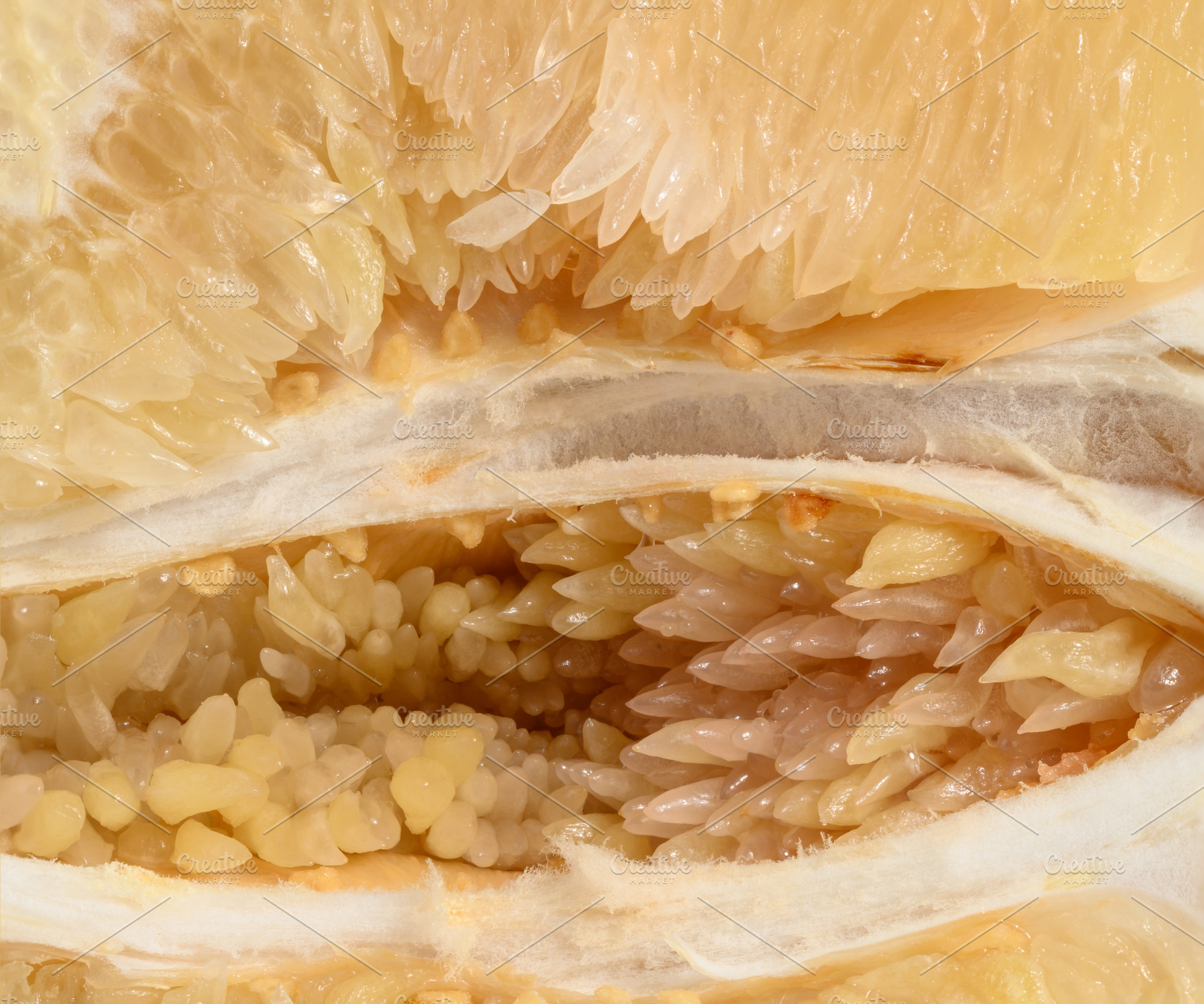 Detailed close-up of a fresh pomelo fruit, showing the juicy fl, a Food & Drink Photo by ndanko